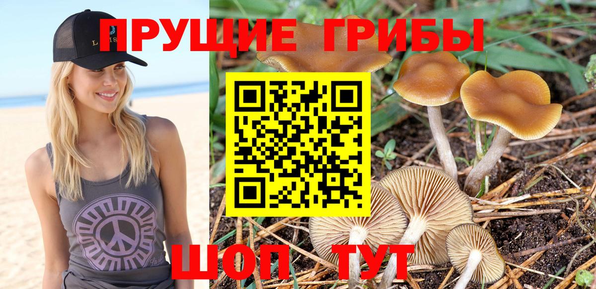 Галлюциногенные грибы мицелий  цены   Гулькевичи  Вход с VPN 