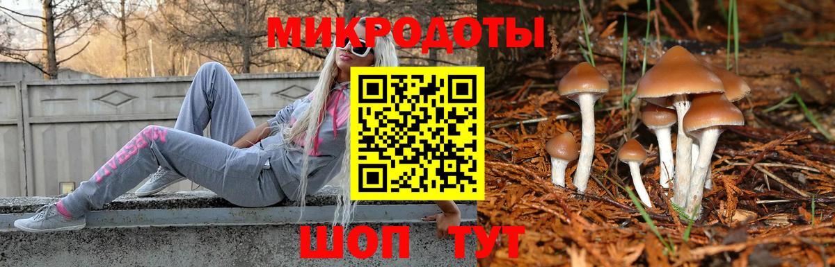 Псилоцибиновые грибы мицелий Гулькевичи